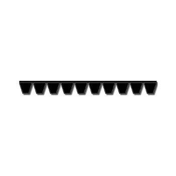 10/SPC5000 Banded Belt