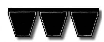B255/03 Banded V-Belt