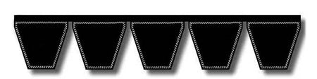 B116/05 Banded V-Belt