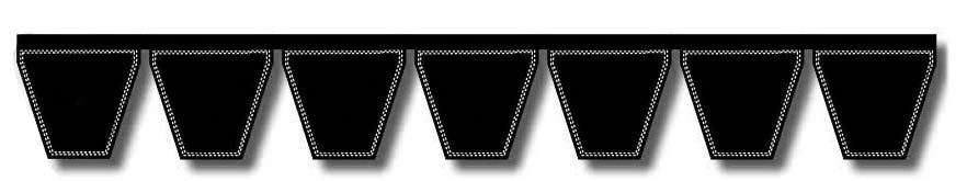 7/D660 Banded Classic Belt