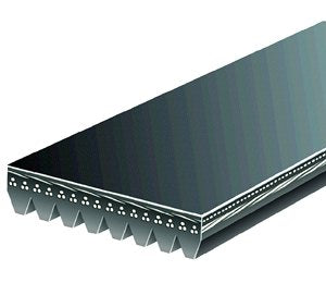 Jason 560L16 Micro V-Belt