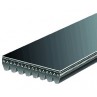 150J3 Poly V-Belt