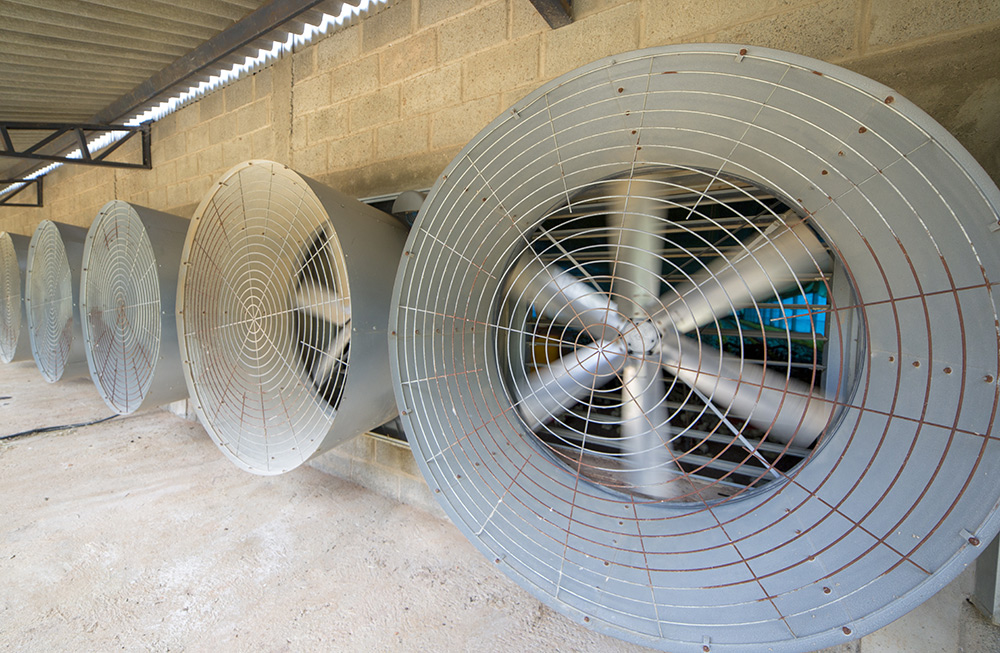 hvac-industry-v-belts-cooling-tower-exhaust-fan-more